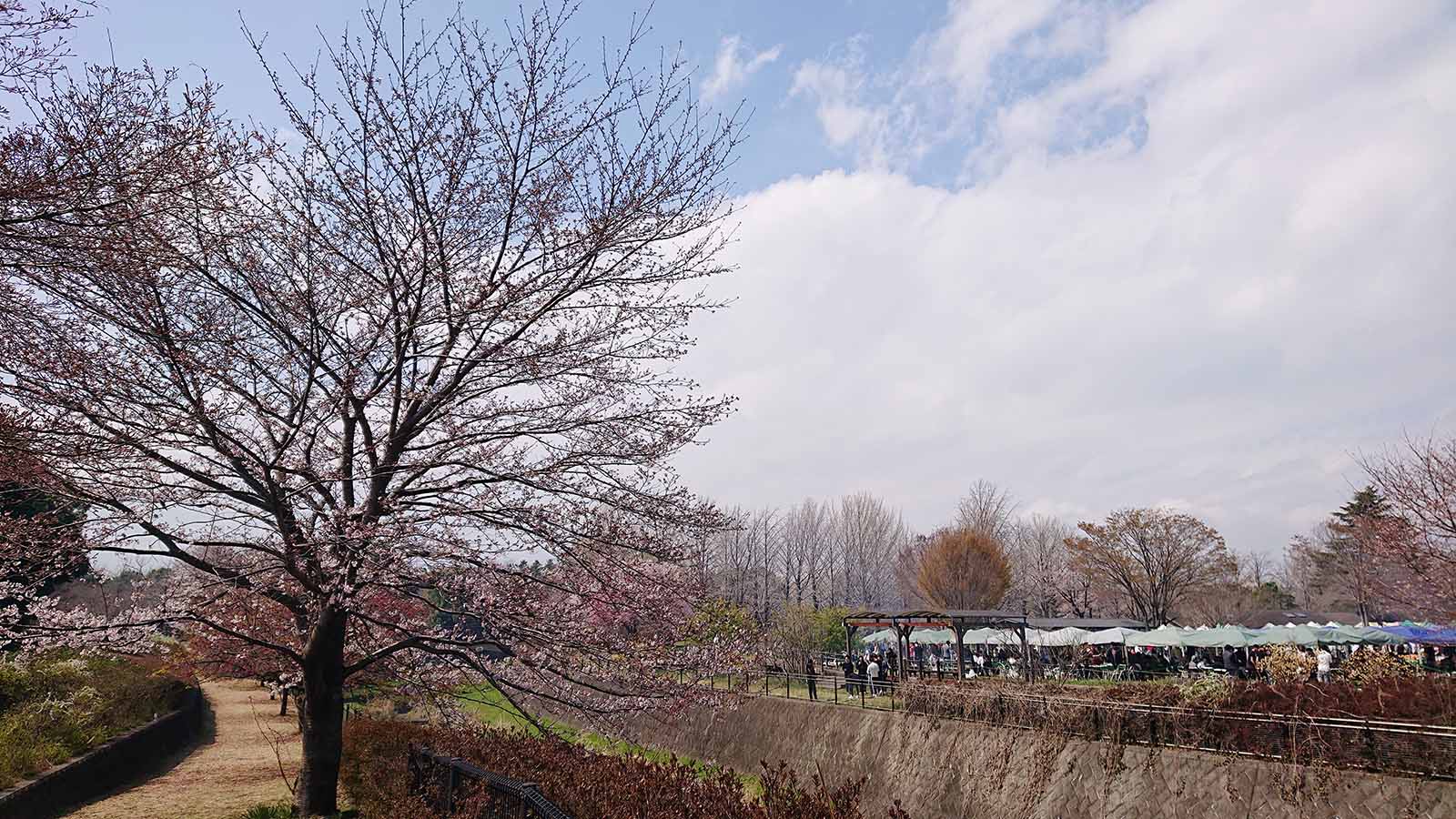 運勢 座 の 2021 水瓶