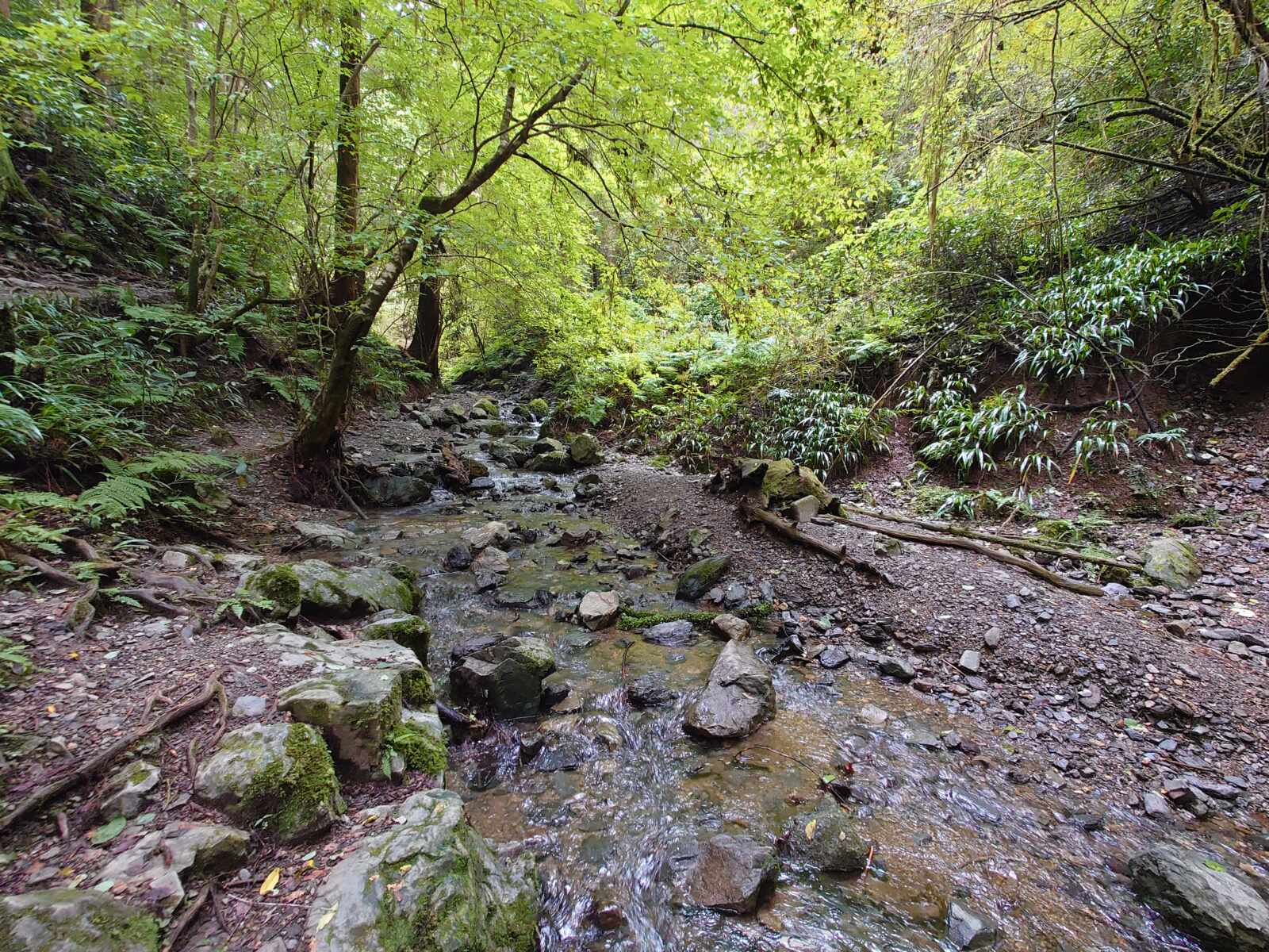 高尾山登山